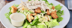 "Fresh and vibrant chicken salad with creamy avocado, crunchy veggies, and a sprinkle of nuts — a healthy, protein-packed dish perfect for any diet or meal prep."